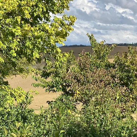 Podere Il Moro Daire Brucciano