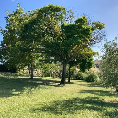 Podere Il Moro Brucciano
