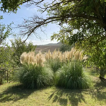 Podere Il Moro Apartment Brucciano